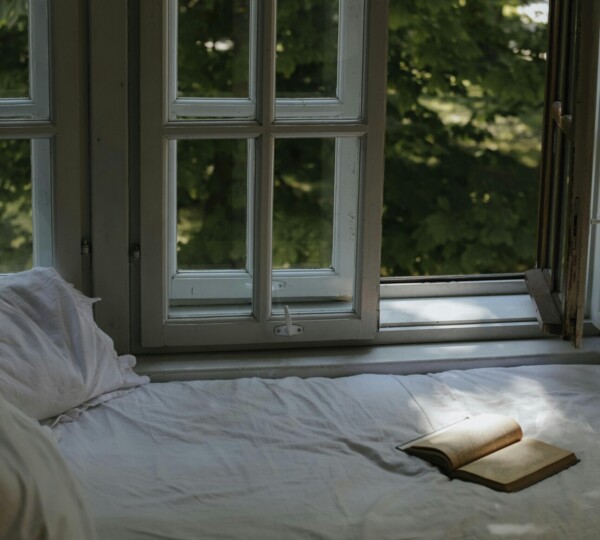 Are Summer Bugs Making It Hard to Enjoy Your Home?